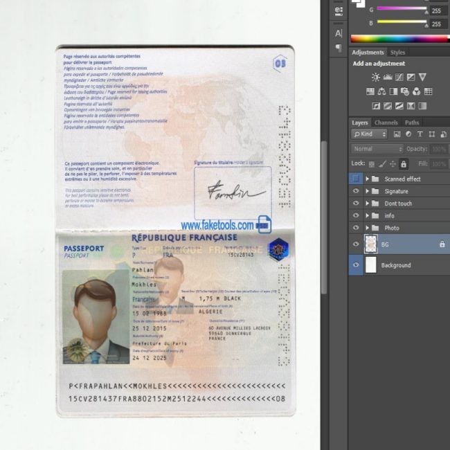 France Passport psd template