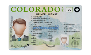 Colorado driver / Driving license Psd Template