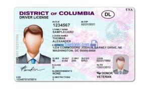 District of Columbia driver license Psd Template