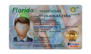 Florida driver license Psd Template