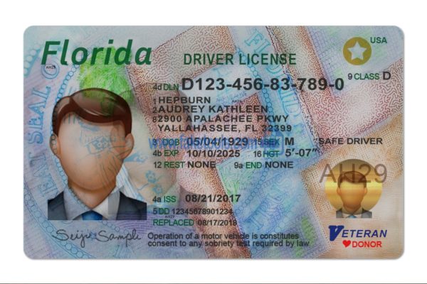 Florida driver license Psd Template