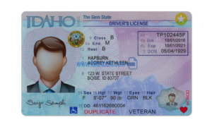 Idaho driver license Psd Template