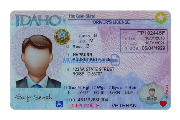 Idaho driver license Psd Template