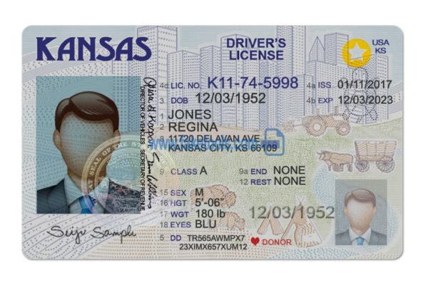 Kansas driver license Psd Template