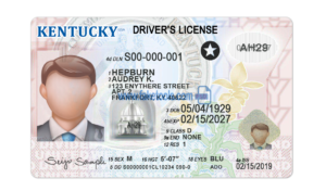 Kentucky driver license Psd Template