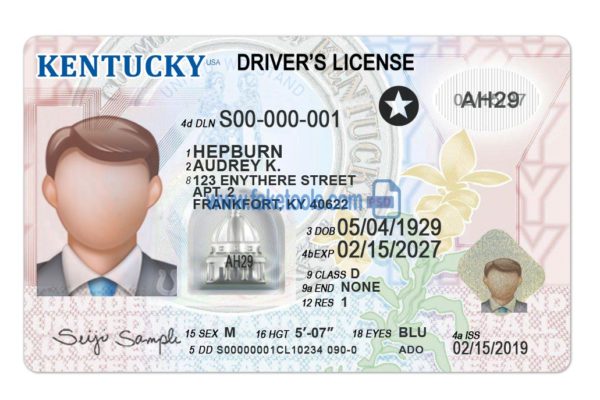 Kentucky driver license Psd Template