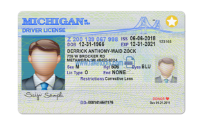 Michigan driver license Psd Template