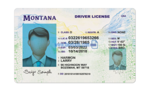 Montana driver license Psd Template