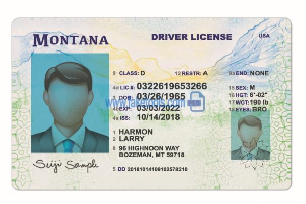 Montana driver license Psd Template