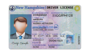 New Hampshire driver license Psd Template