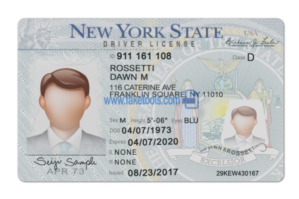 New York driver license Psd Template