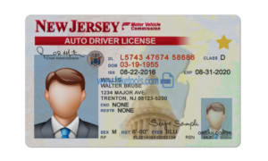 New Jersey license Psd Template