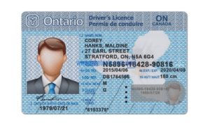 Ontario driver license Psd Template