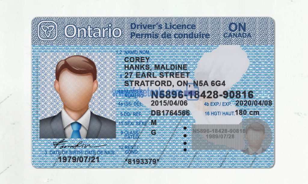 Ontario driver license Psd Template : High quality psd template