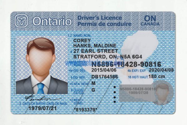 Ontario driver license Psd Template