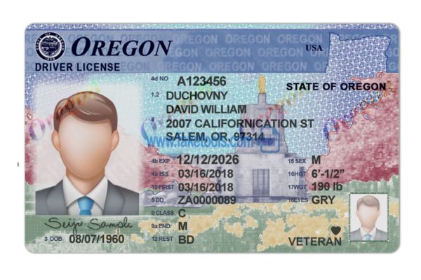 Oregon driver license Psd Template