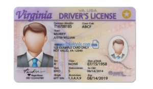 Virginia driver license Psd Template