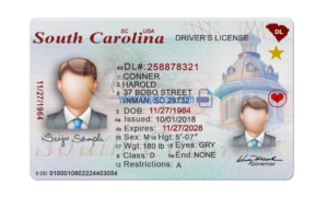 South Carolina driver license Psd Template