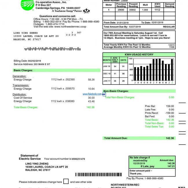 USA Electric Bill : USA Utility Bill : USA Proof of Address Psd template