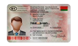 Belarus driver license Psd Template