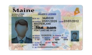 Maine driver license Psd Template New